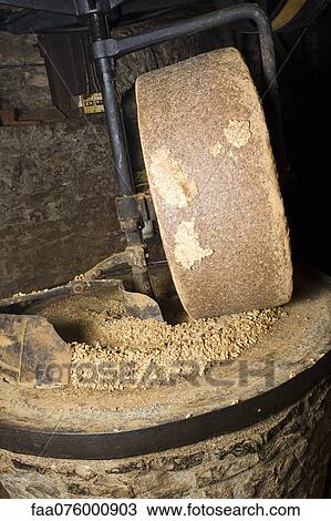 Grinding walnuts View Large Photo Image Stock Image - Grinding walnuts. Fotosearch