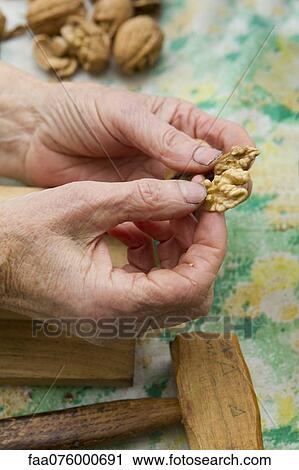 Hands holding shelled walnut View Large Photo Image Stock Image - Hands holding shelled walnut. Fotosearch