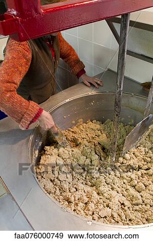 Making walnut oil View Large Photo Image Stock Photo - Making walnut oil. Fotosearch