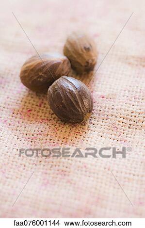 Nutmeg View Large Photo Image Picture - Nutmeg. Fotosearch