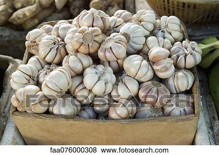 Pile of garlic bulbs in crate View Large Photo Image Stock Photo - Pile of garlic bulbs in crate. Fotosearch