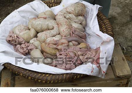 Stock Photo - Pork intestines. Fotosearch