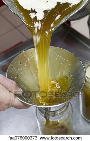 Pouring walnut oil into glass jar View Large Photo Image Stock Image - Pouring walnut oil into glass jar. Fotosearch