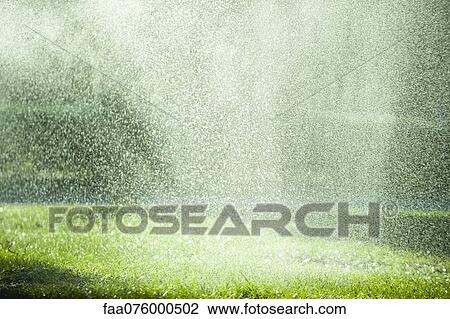 Rain falling on grass View Large Photo Image Stock Image - Rain falling on grass. Fotosearch