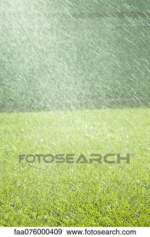 Rain falling on grass View Large Photo Image Stock Photo - Rain falling on grass. Fotosearch