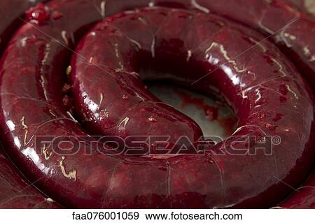 Stock Photo - Raw black pudding. Fotosearch