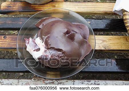 Raw pork liver View Large Photo Image Stock Photograph - Raw pork liver. Fotosearch