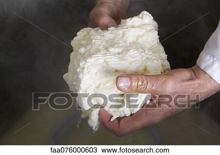 Stock Image - Sheep's milk Ricotta cheese. Fotosearch
