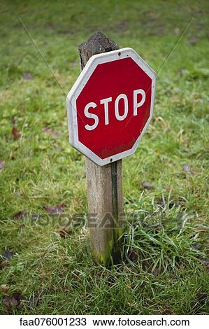 Stop sign in grass View Large Photo Image Stock Image - Stop sign in grass. Fotosearch