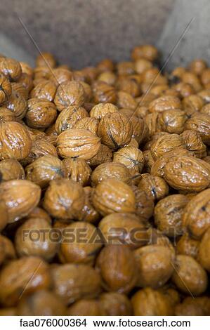 Walnuts being washed View Large Photo Image Picture - Walnuts being washed. Fotosearch