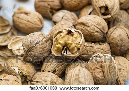 Stock Photo - Walnuts. Fotosearch