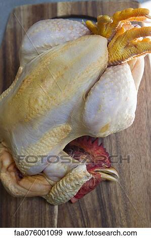 Stock Photo - Whole raw chicken. Fotosearch