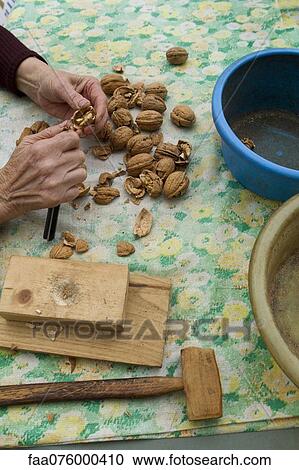 Stock Image - Woman shelling walnuts, cropped. Fotosearch