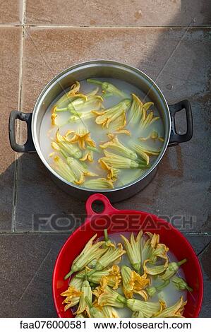 Stock Image - Zucchini blossoms soaking in water. Fotosearch