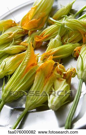 Stock Image - Zucchini blossoms. Fotosearch