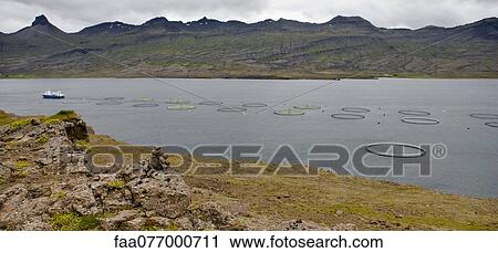 Stock Image - Aquafarm, Iceland. Fotosearch