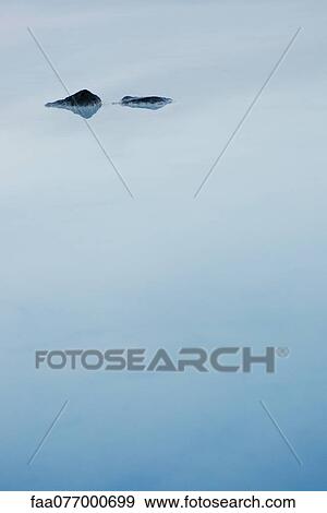 Stock Photo - Blue Lagoon, Reykjanes Peninsula, Iceland. Fotosearch