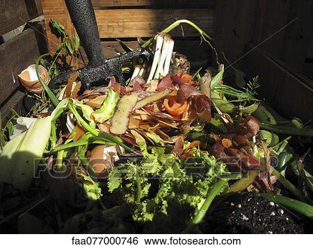 Stock Photograph - Compost. Fotosearch