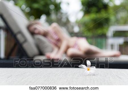 Stock Photograph - Frangipani flower. Fotosearch