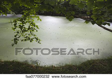 Frozen pond View Large Photo Image Stock Image - Frozen pond. Fotosearch