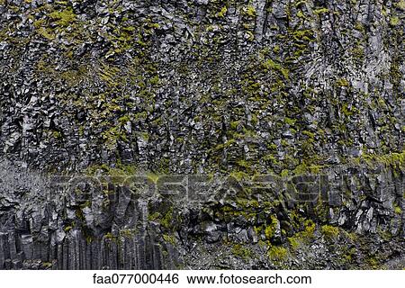 Moss growing on volcanic rock, Iceland View Large Photo Image Stock Photograph - Moss growing on volcanic rock, Iceland. Fotosearch