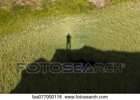 Person's shadow on grass View Large Photo Image Stock Photograph - Person's shadow on grass. Fotosearch