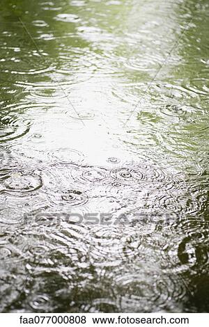 Stock Photo - Raindrops on surface of water. Fotosearch