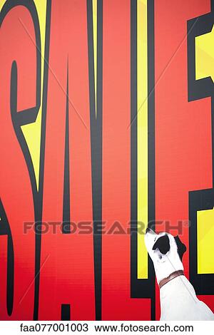 Stock Image - Sale sign. Fotosearch