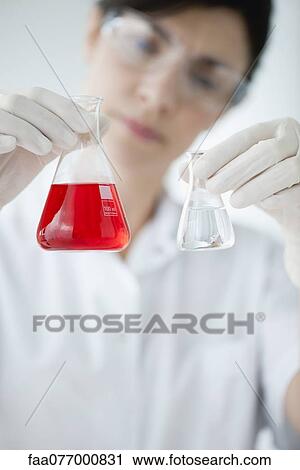 Stock Image - Scientist holding conical flasks containing liquid. Fotosearch