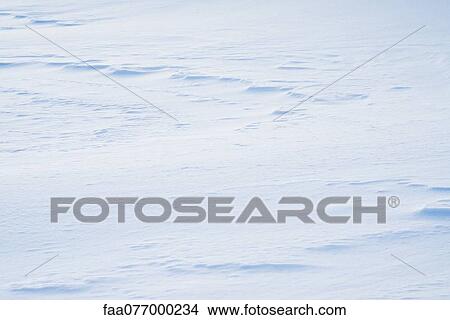 Picture - Snow-covered field. Fotosearch