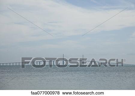 Sunshine Skyway Bridge, Tampa, Florida, USA View Large Photo Image Stock Photo - Sunshine Skyway Bridge, Tampa, Florida, USA. Fotosearch