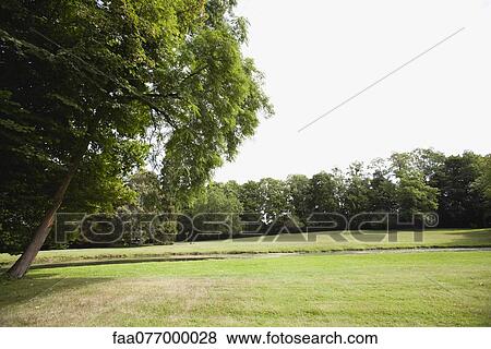 Stock Photo - Tranquil meadow. Fotosearch