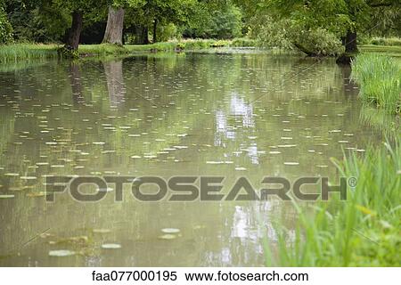 Stock Photography - Tranquil pond. Fotosearch
