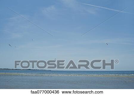 Stock Photograph - Tranquil seascape. Fotosearch