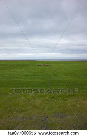 Stock Photography - Turf farm, Iceland. Fotosearch