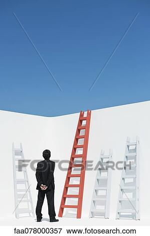 Stock Photo - Businessman contemplating ladders, rear view. Fotosearch