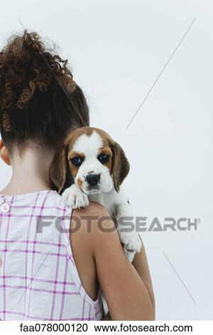 Girl holding beagle puppy, rear view View Large Photo Image Stock Image - Girl holding beagle puppy, rear view. Fotosearch