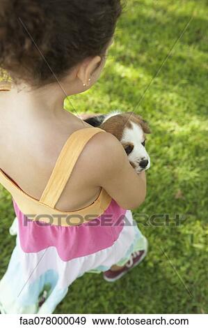 Girl holding beagle puppy, rear view View Large Photo Image Stock Photo - Girl holding beagle puppy, rear view. Fotosearch