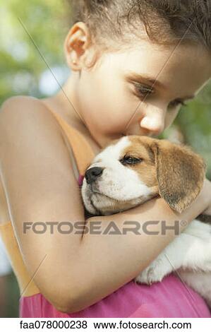 Stock Photo - Girl kissing beagle puppy. Fotosearch