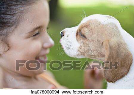 Picture - Girl playing with beagle puppy, side view. Fotosearch