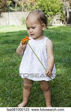 Stock Image - Baby girl holding daisy. Fotosearch