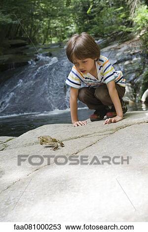 Boy crouching on rock looking at frog jump View Large Photo Image Stock Image - Boy crouching on rock looking at frog jump. Fotosearch