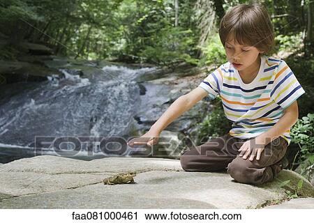 Boy kneeling on rock looking at frog View Large Photo Image Stock Image - Boy kneeling on rock looking at frog. Fotosearch