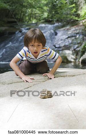 Boy kneeling on rock looking at frog View Large Photo Image Stock Photography - Boy kneeling on rock looking at frog. Fotosearch