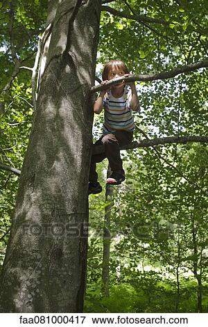Stock Photo - Boy sitting on tree branch in woods, low angle view. Fotosearch