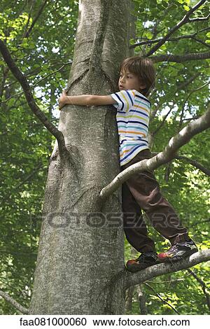 Stock Image - Boy standing in tree. Fotosearch