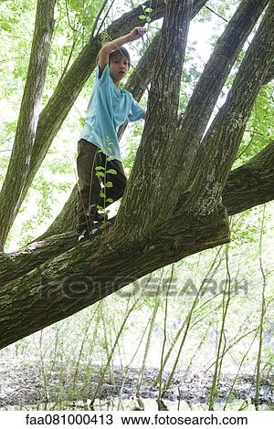 Boy standing in tree View Large Photo Image Stock Image - Boy standing in tree. Fotosearch