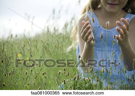 Stock Photography - Butterfly on wildflower, girl in background attempting to catch. Fotosearch
