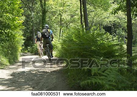 Stock Image - Cyclists biking through woods, rear view. Fotosearch