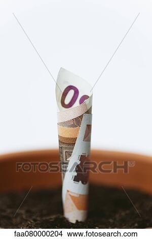 Fifty euro banknote planted in flower pot View Large Photo Image Picture - Fifty euro banknote planted in flower pot. Fotosearch